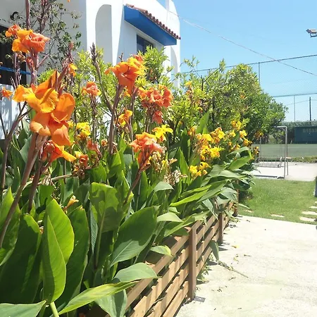 伊芙公寓及一室公寓酒店 Theológos