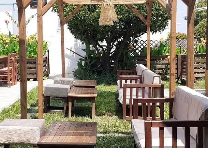 Evi And 3* Theológos