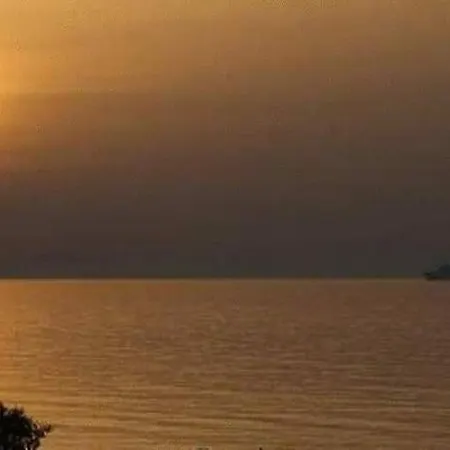 Evi And Aparthotel Theológos