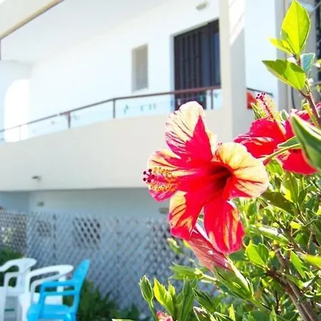 Aparthotel Evi And Theológos